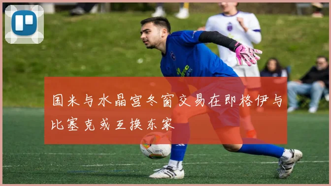国米与水晶宫冬窗交易在即格伊与比塞克或互换东家